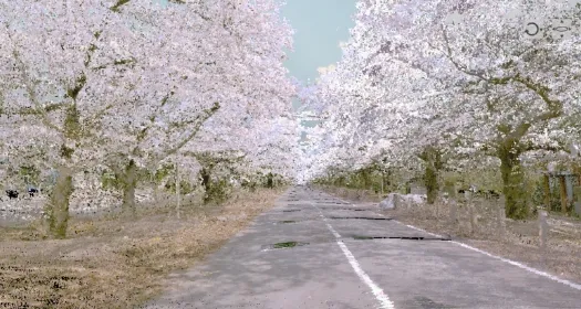 写真：MMSを用いた道路調査
