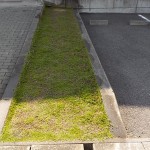 DSCN1137[1]