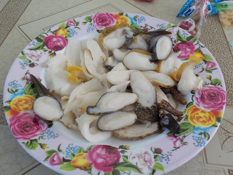 DSCN1885