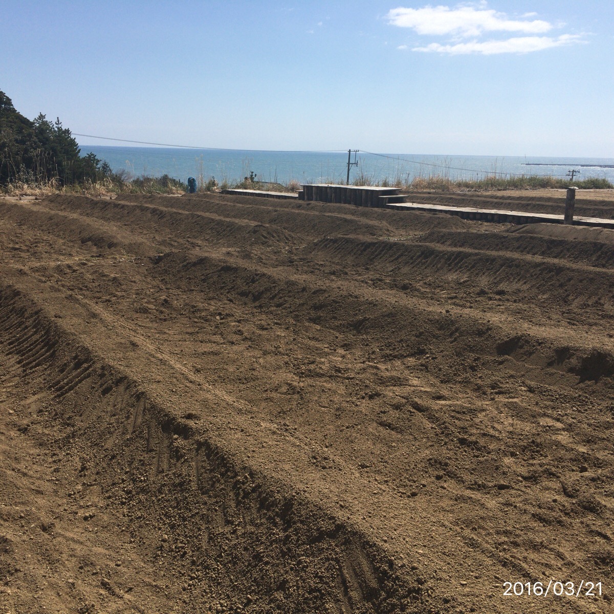 富岡町での試験ブドウ栽培＿耕起＆畝立ての画像