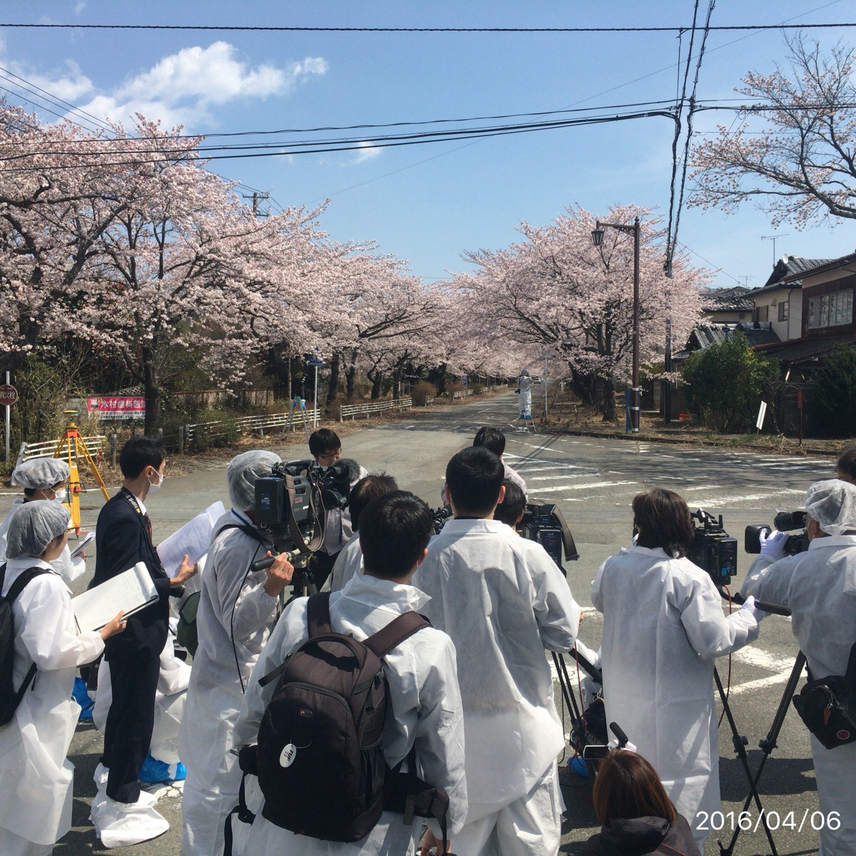 富岡町夜の森の桜並木を３D化（MMS,UAVおよび３Dレーザースキャン）の画像