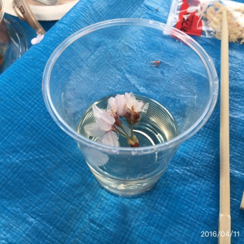 Photo1