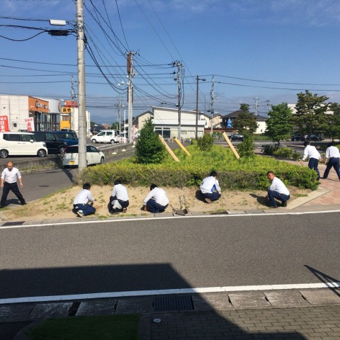 草刈り