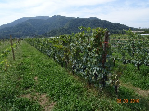 dsc01937