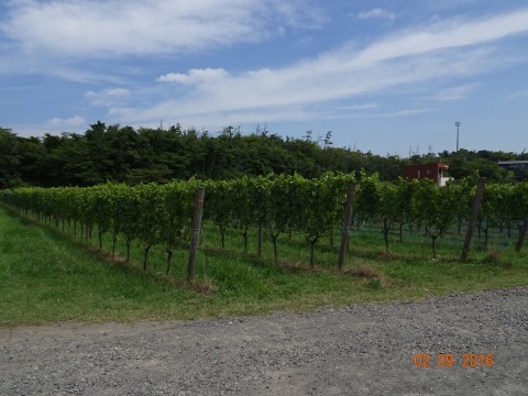 dsc01944