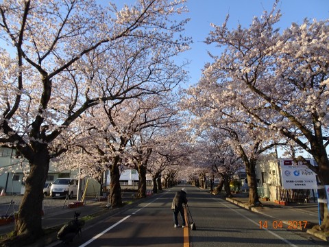 s-DSC02283