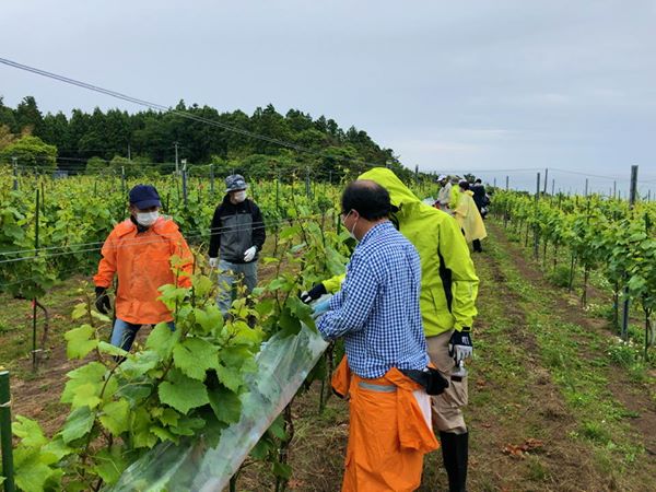 ふたばCSR＿とみおかワイン支援の画像