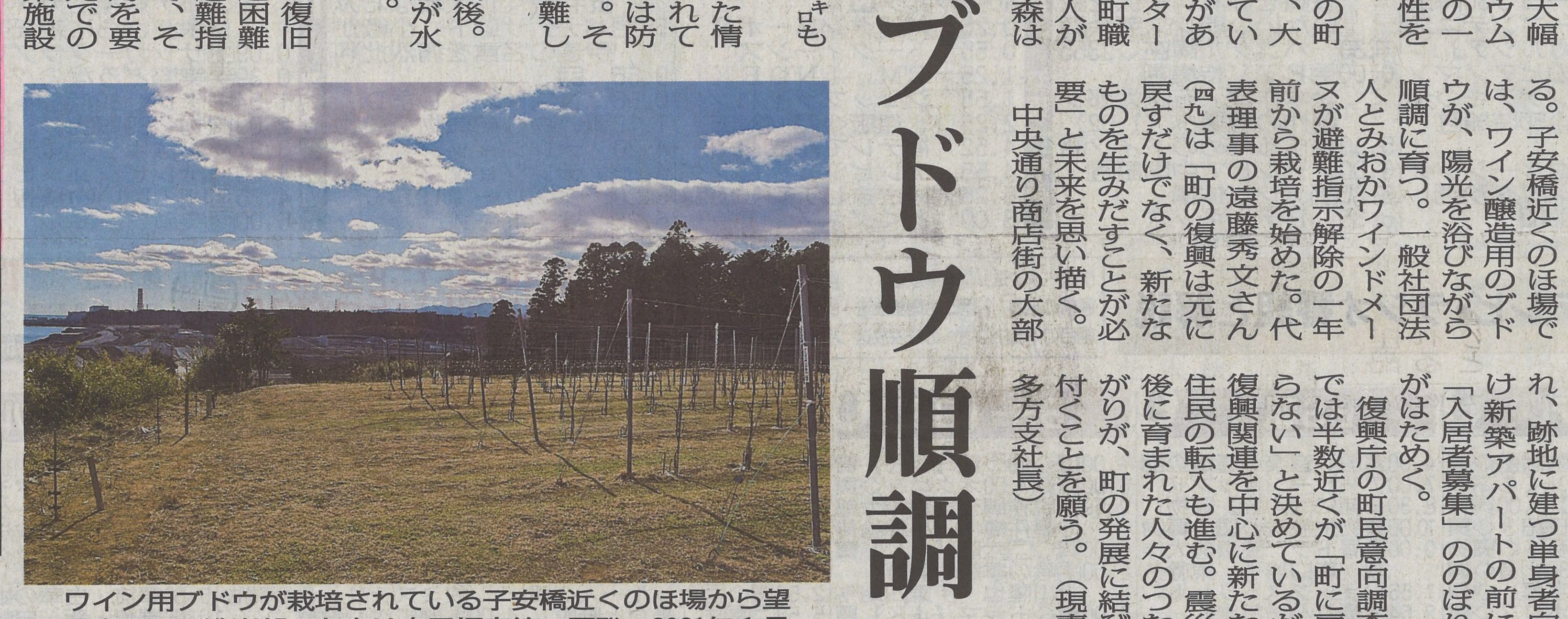 【メディア掲載情報】福島民報に掲載されましたの画像