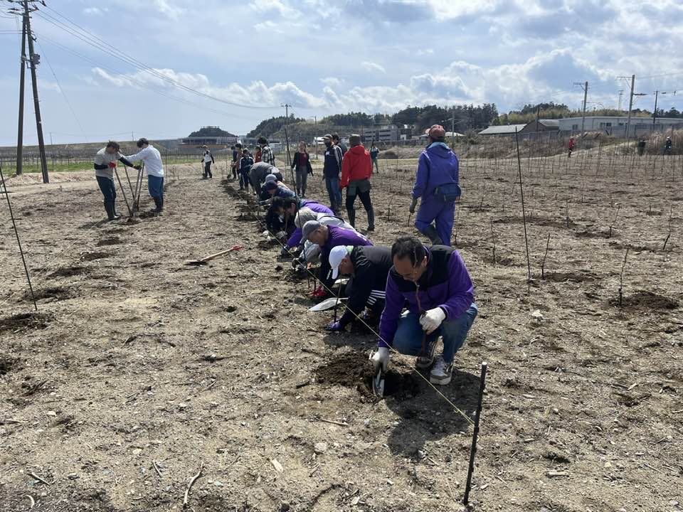 震災前の富岡町人口と同じ16,000本達成の画像
