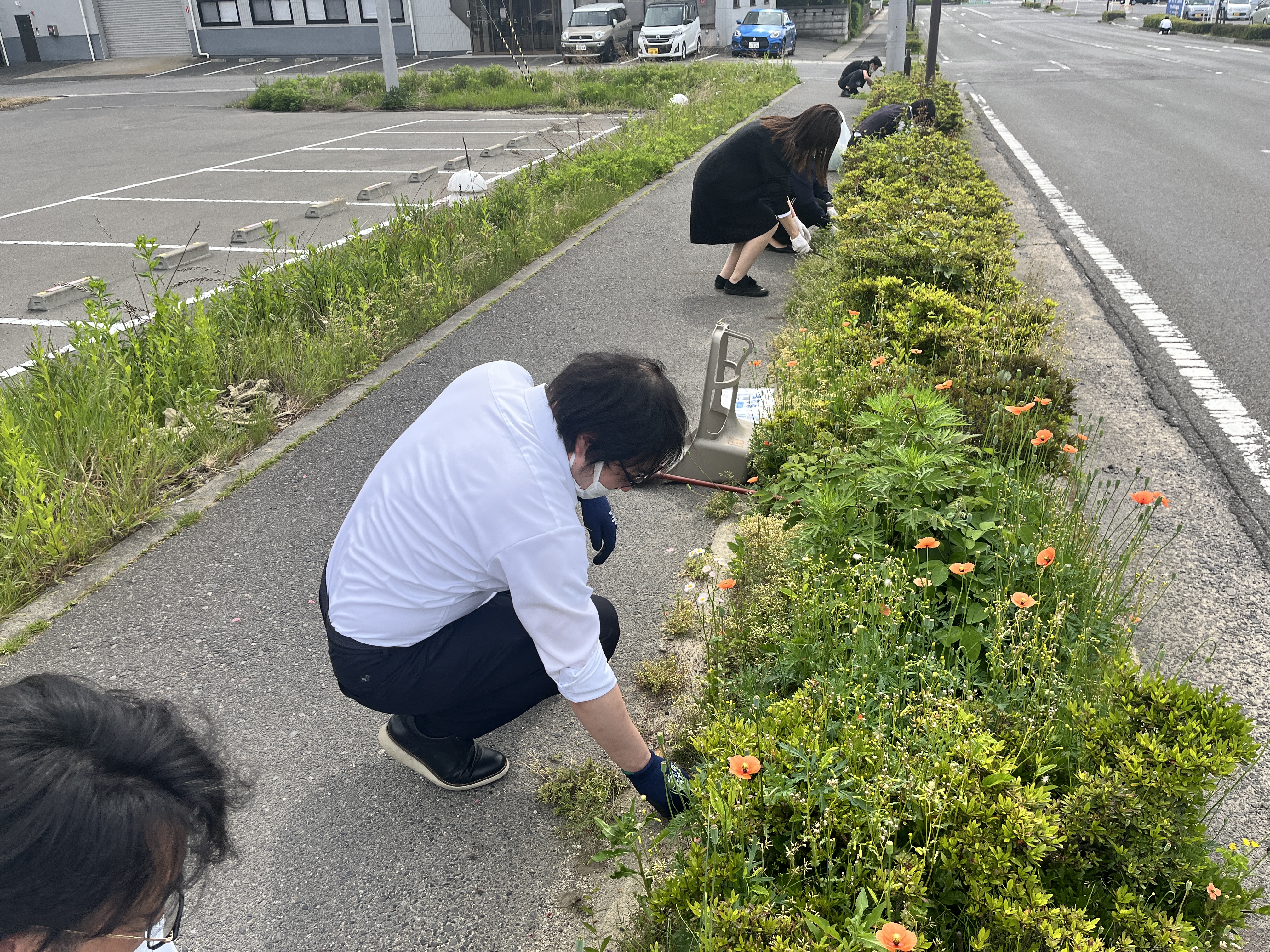 アイラブロードの除草作業を行いました。の画像