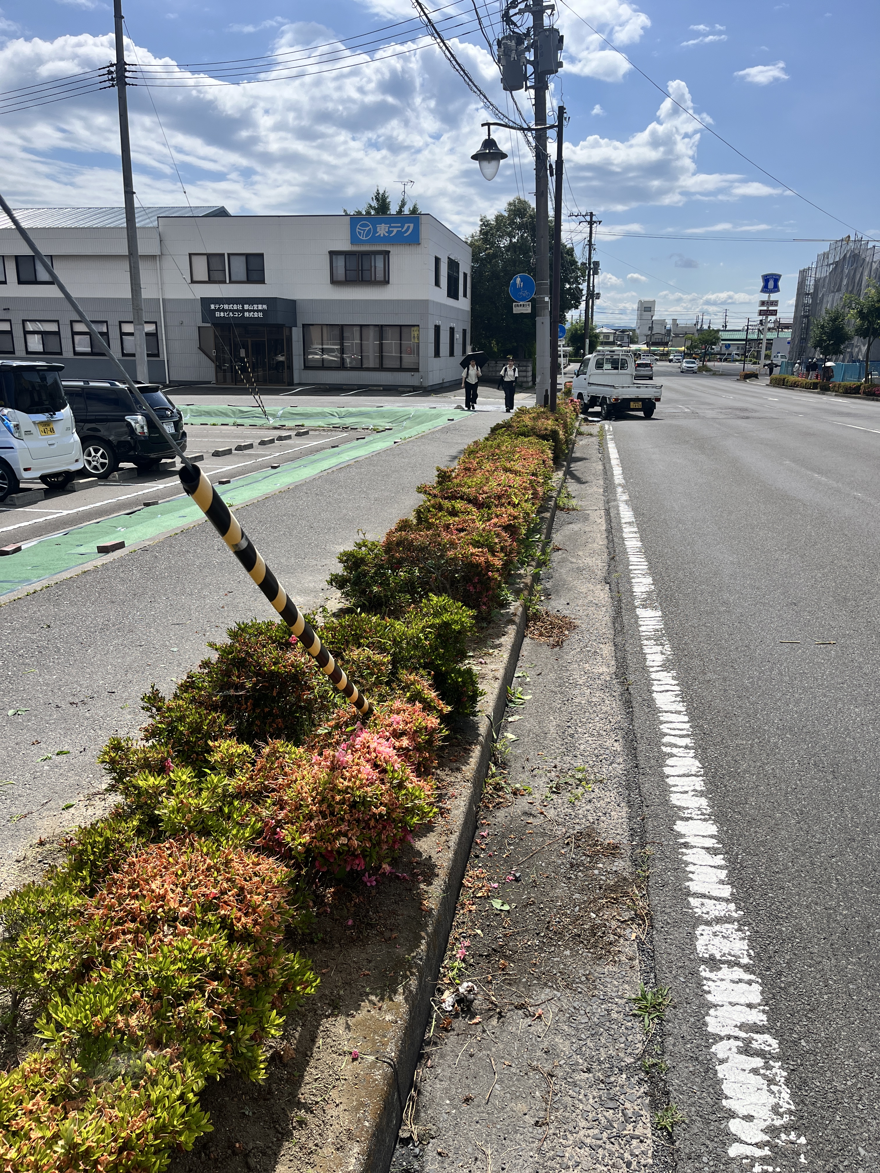 アイラブロードの除草作業を行いました。の画像